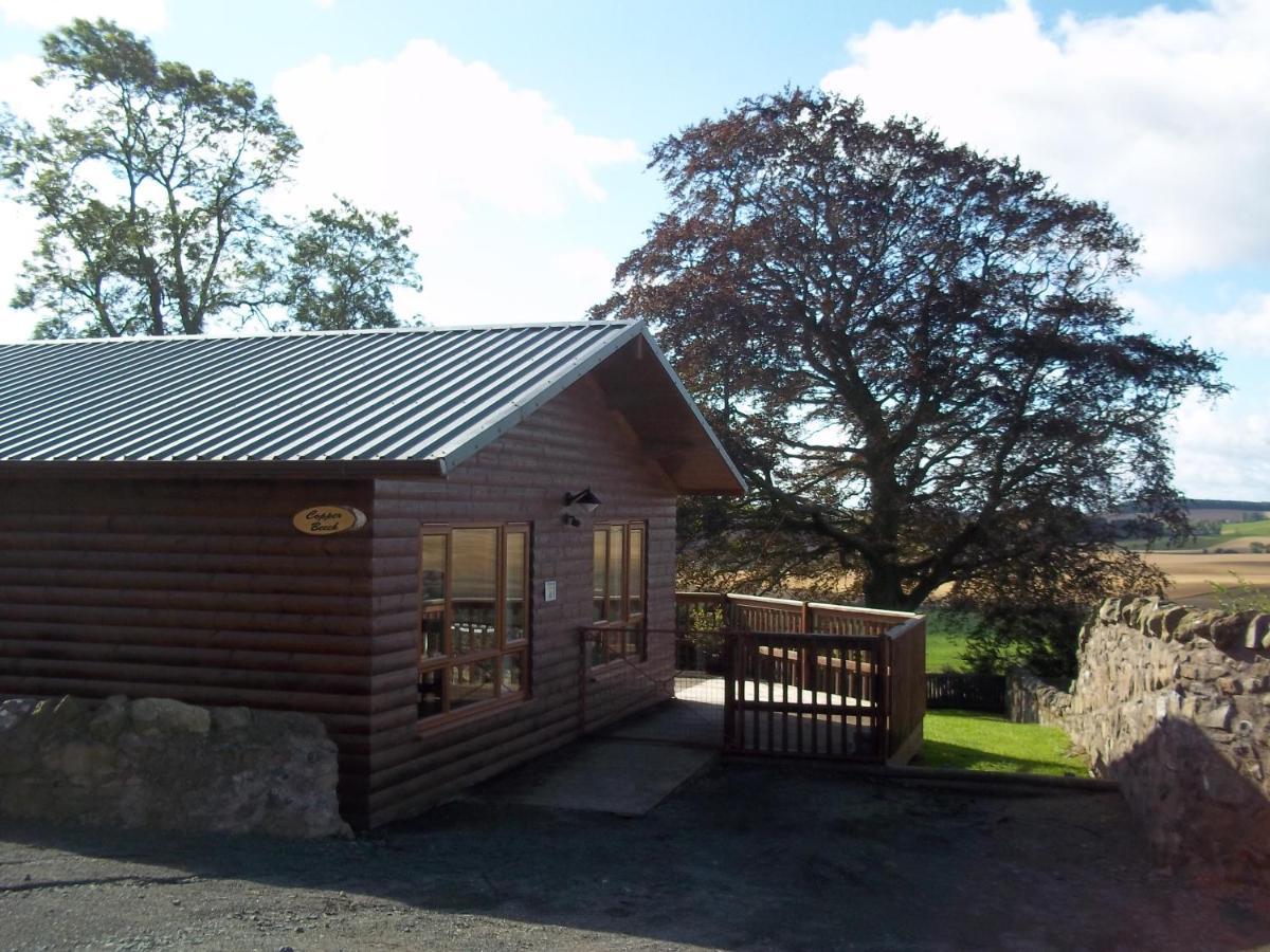 Copper Beech With Hot Tub *